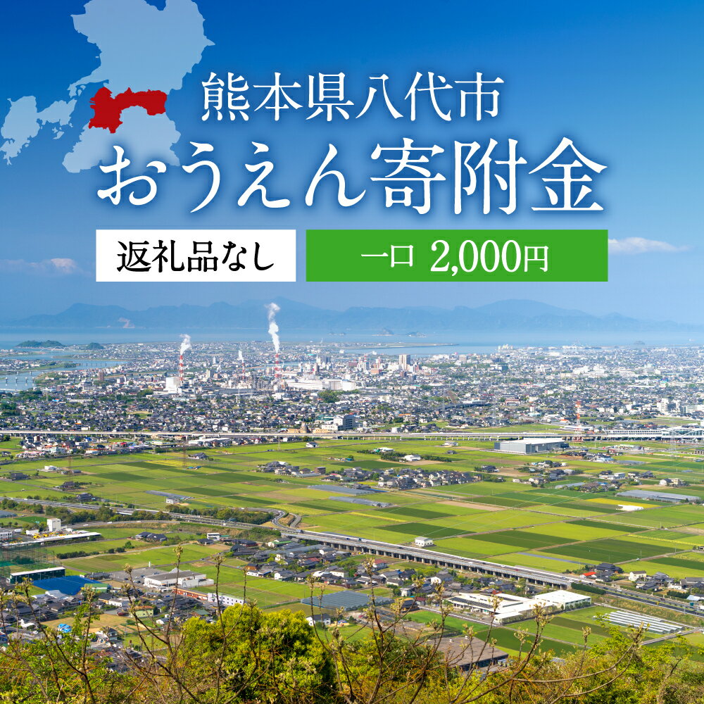 【ふるさと納税】返礼品なし 熊本県八代市 おうえん寄附金(2