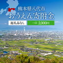 【ふるさと納税】返礼品なし 熊本県八代市 おうえん寄附金(2