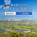 【ふるさと納税】返礼品なし 熊本県八代市 おうえん寄附金(5