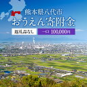 【ふるさと納税】返礼品なし 熊本県八代市 おうえん寄附金(1