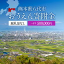 【ふるさと納税】返礼品なし 熊本県八代市 おうえん寄附金(500,000円単位でご寄附いただけます)