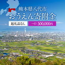 【ふるさと納税】返礼品なし 熊本県八代市 おうえん寄附金(5