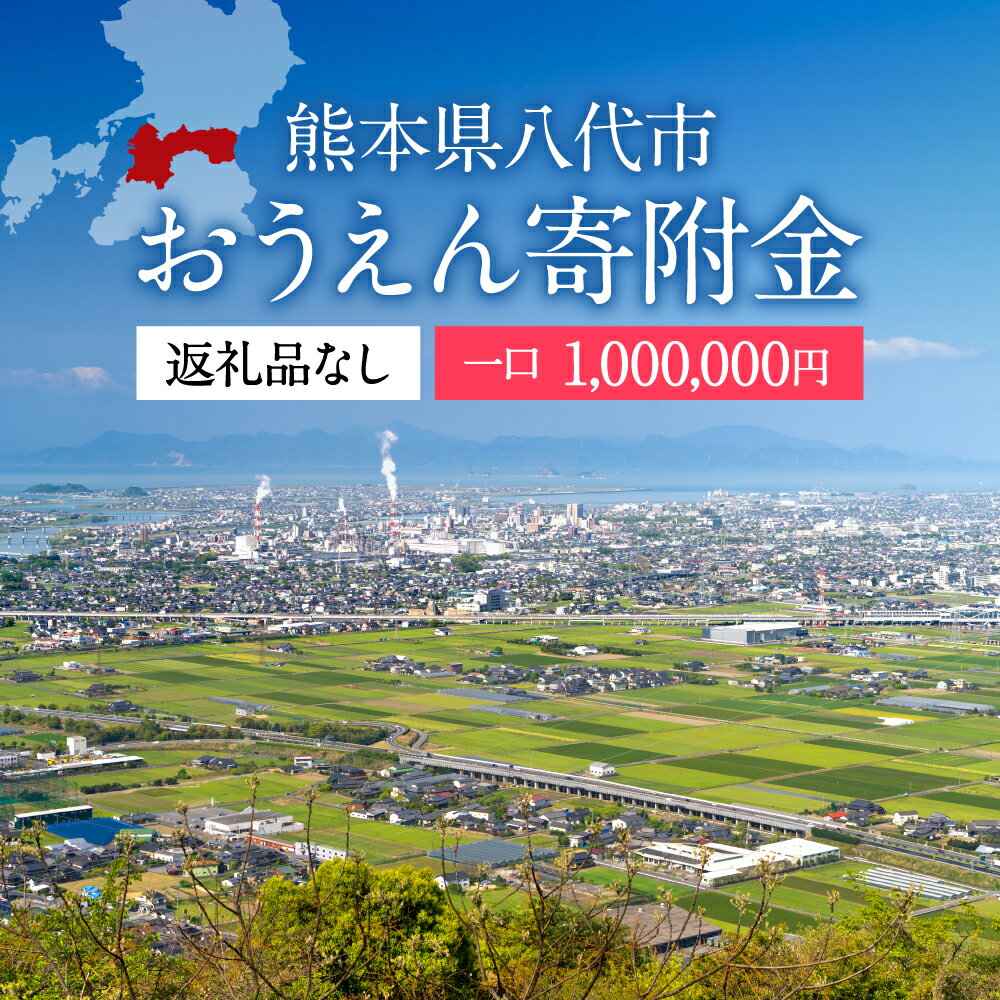 【ふるさと納税】返礼品なし 熊本県八代市 おうえん寄附金(1