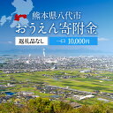 【ふるさと納税】返礼品なし 熊本県八代市 おうえん寄附金(1