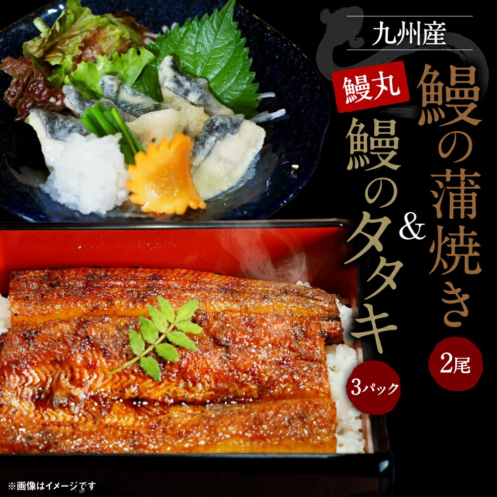 【ふるさと納税】鰻の蒲焼2尾 鰻のタタキ3パック セット 合計約650g 鰻丸 九州産 鰻 うなぎ ウナギ 蒲焼き 手作業 詰合せ 詰め合わせ 冷凍 国産 九州産 送料無料