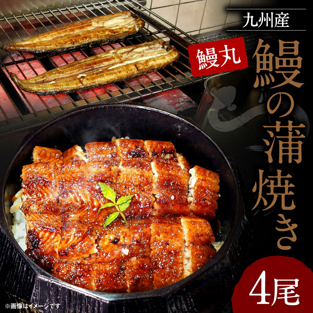 【ふるさと納税】鰻の蒲焼4尾 セット 合計約800g 鰻丸 九州産 鰻 うなぎ ウナギ 蒲焼き 手作業 冷凍 国産 九州産 送料無料 支援 生産者応援