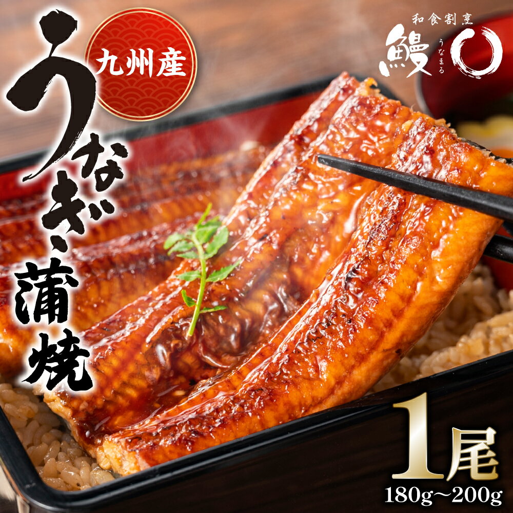 鰻丸(うなまる) 九州産 鰻 蒲焼き 1尾 うなぎ ウナギ 送料無料