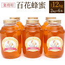 【ふるさと納税】 【業務用】百花蜂蜜 2kg×6本 セット 合計12kg はちみつ 瓶タイプ ハニー 百花蜜 国産 純粋蜂蜜 熊本県 九州 送料無料