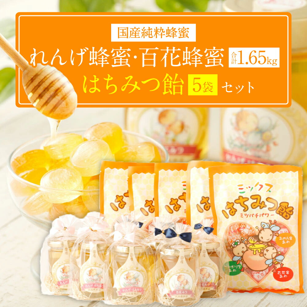 共立 カナダメープルシロップ 200g ×6 メーカー直送 ギフト プレゼント
