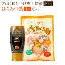 【ふるさと納税】国産 蜂蜜 プロ仕様仕上げ専用蜂蜜500g チューブ 蜂蜜あめ1袋 日本産 はちみつ ハチミツ 国産はちみつ あめ 飴 アメ スイーツ お菓子 セット 詰め合わせ 熊本県産 送料無料