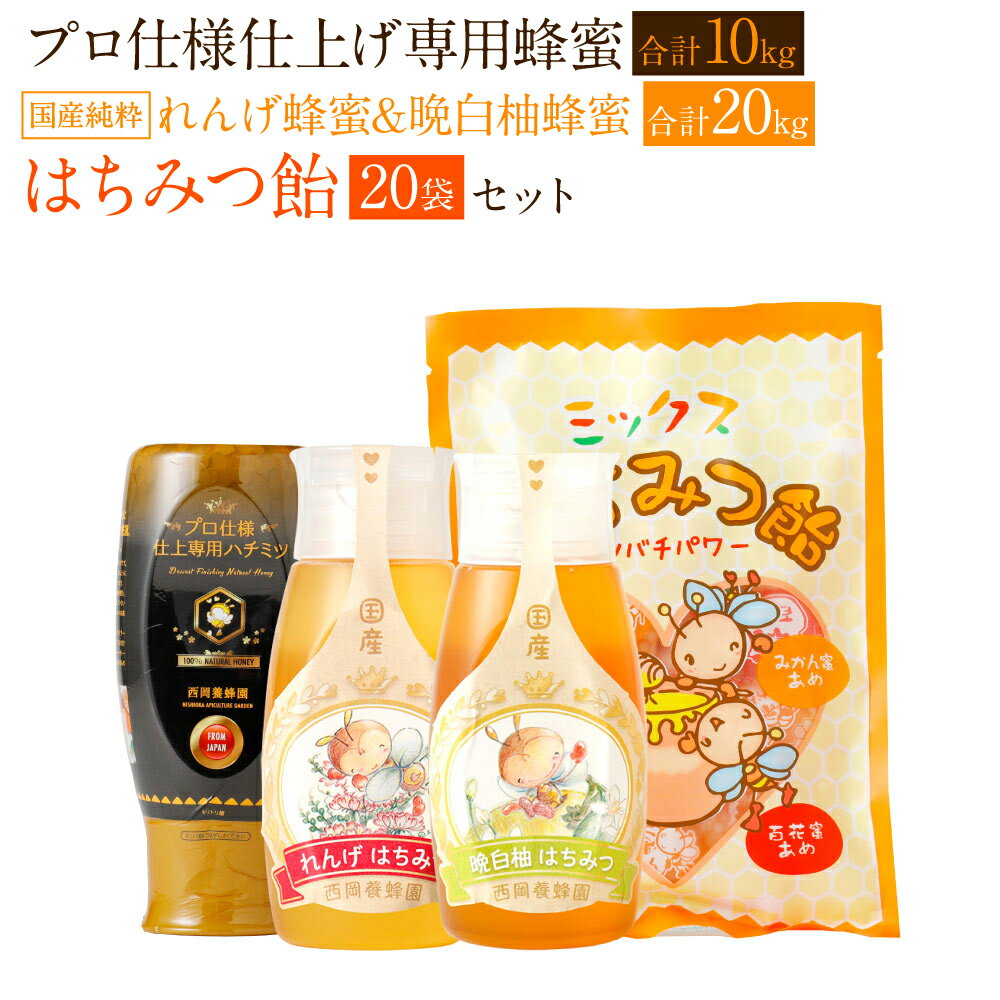 国産 純粋 蜂蜜 チューブ れんげ蜂蜜 500g×20本 合計20kg プロ仕様仕上げ専用蜂蜜 500g×20本 合計10kg 蜂蜜あめ (20袋) 日本産 はちみつ ハチミツ 国産はちみつ あめ 飴 アメ スイーツ お菓子 セット 詰め合わせ 熊本県産 送料無料