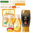 19位! 口コミ数「0件」評価「0」【定期便 年4回】仕上げ専用蜂蜜 + ポリチューブ蜂蜜 2本 + 蜂蜜あめ袋 セット 詰め合わせ チューブタイプ プロ仕様 はちみつ 飴 キ･･･ 