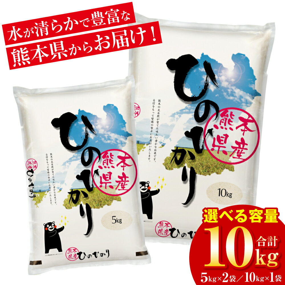 【ふるさと納税】 【先行予約】 【選べる容量】 【令和6年産】 ≪新米≫ くまモン ひのひかり 合計10kg お米 白米 米 ヒノヒカリ 精米 国産 熊本県産 九州 送料無料 【2024年10月上旬より順次発送】のサムネイル