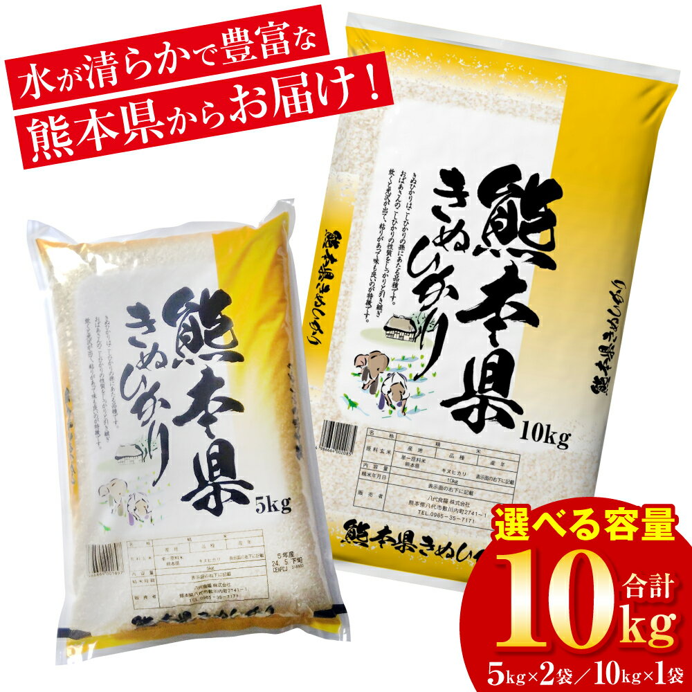 【ふるさと納税】 【先行予約】 【選べる容量】 【令和6年産】 ≪新米≫ 熊本県産 ...
