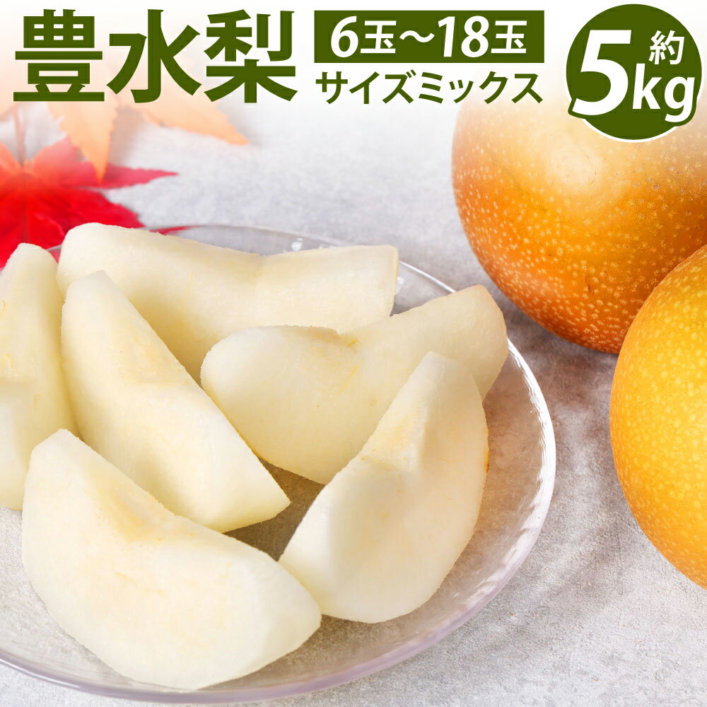 【ふるさと納税】 【先行予約】 熊本県産 豊水梨 サイズミックス 約5kg 6玉～18玉 梨 熊本県産 八代市 果物 フルーツ 旬 熊本県 送料無料 【2025年8月下旬より順次発送】