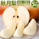 【ふるさと納税】 【先行予約】 熊本県産 秋月梨 サイズミックス 約5kg 6玉〜18玉 梨 ナシ 熊本県 八代市 果物 フルーツ 旬 送料無料 【2025年8...