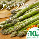 【ふるさと納税】【選べる容量】熊本県八代市産 アスパラガス 1kg〜10kg 新鮮 アスパラ 野菜 国産 熊本県産 送料無料