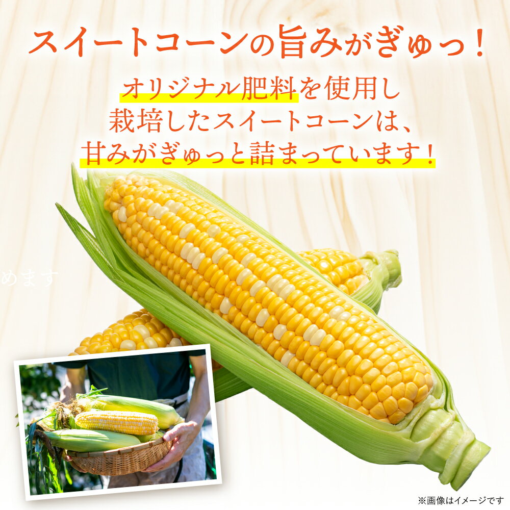 【ふるさと納税】【先行予約】 スイートコーン5kg(11本～13本) ドルチェドリーム とうもろこし コーン 野菜 やさい 新鮮 冷蔵 BBQ おつまみ 送料無料 【2026年5月中旬より順次発送】