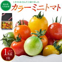 【ふるさと納税】【先行予約】 カラーミニトマト1kg トマト とまと ミニトマト プチトマト 野菜 やさい 旬の野菜 新鮮な野菜 地元産野菜 旬のやさい 新鮮な...