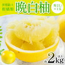 【ふるさと納税】【先行予約】 晩白柚(秀2L以上×1玉)約2kg以上 柑橘 果物 フルーツ 熊本県産 ばんぺいゆ フルーツ 柑橘 特産品 送料無料 【2025年12月上旬より順次発送】
