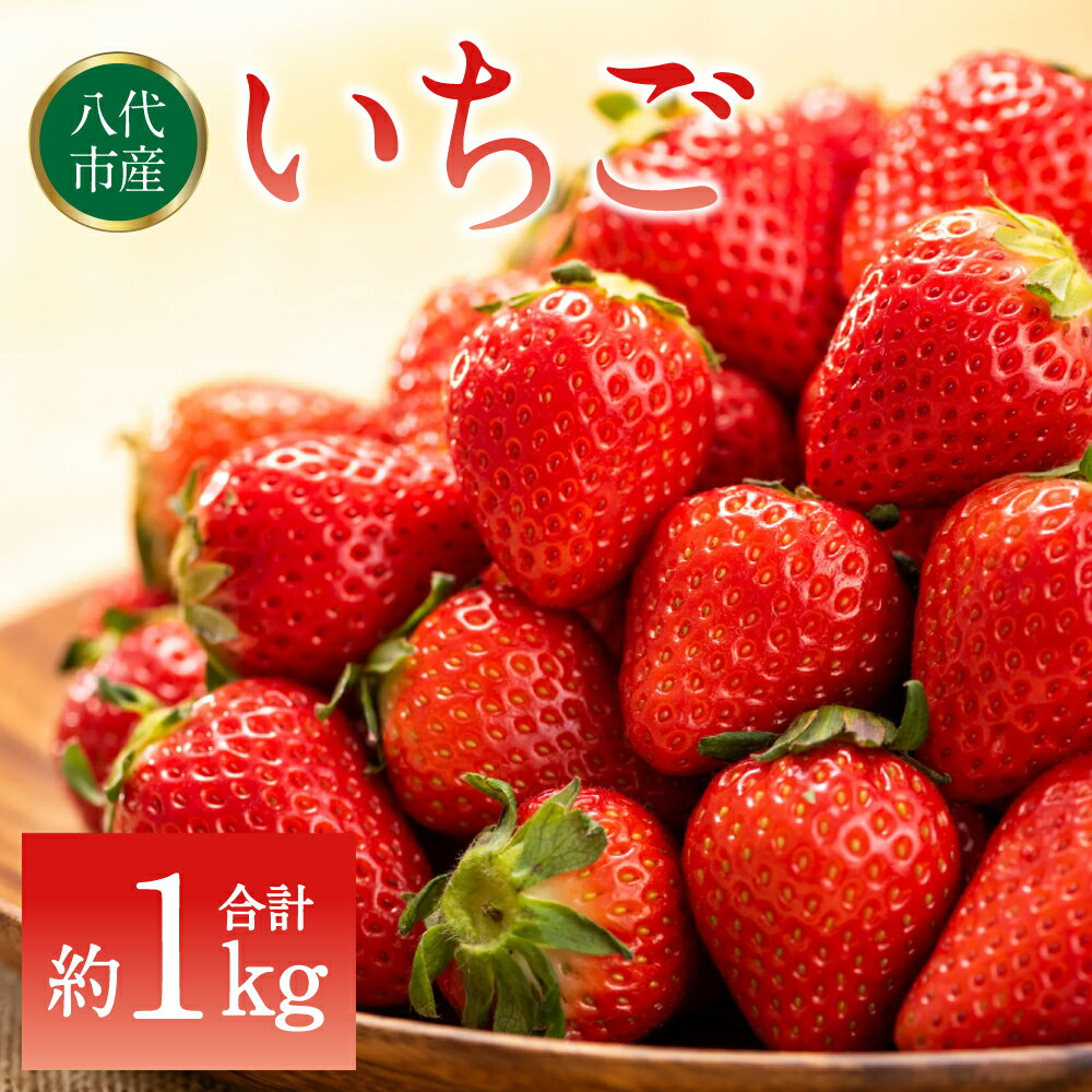 【先行予約】 いちご 約1kg（約250g×4パック） イチゴ 苺 果物 フルーツ 旬 いちごジャム いちごスムージー 送料無料 【2026年2月上旬より順次発送】