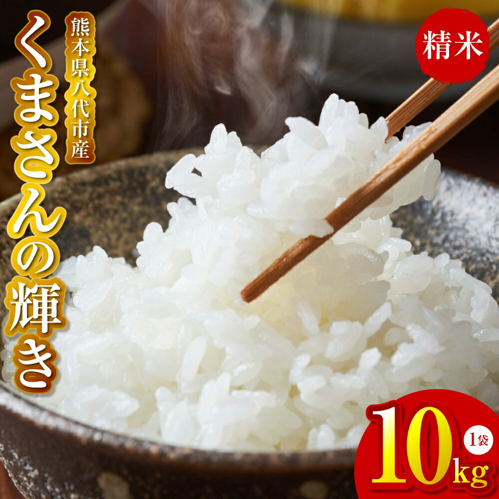 【ふるさと納税】 《令和7年産》 くまさんの輝き 精米10kg 熊本県 八代市産 米 お米 精米 国産 白米 送料無料