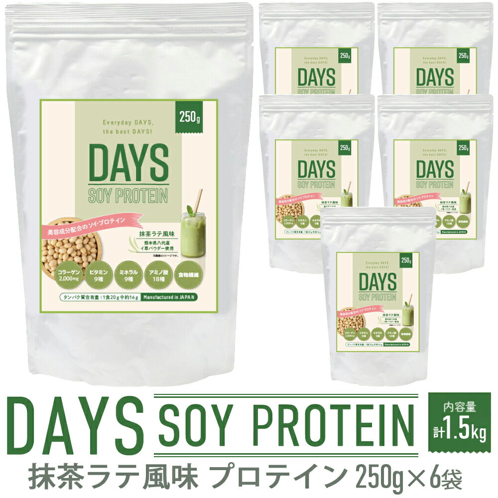 【ふるさと納税】DAYS SOY PROTEIN 抹茶ラテ風味 250g×6袋 合計1500g 1.5kg ソイプロテイン い草 大豆..