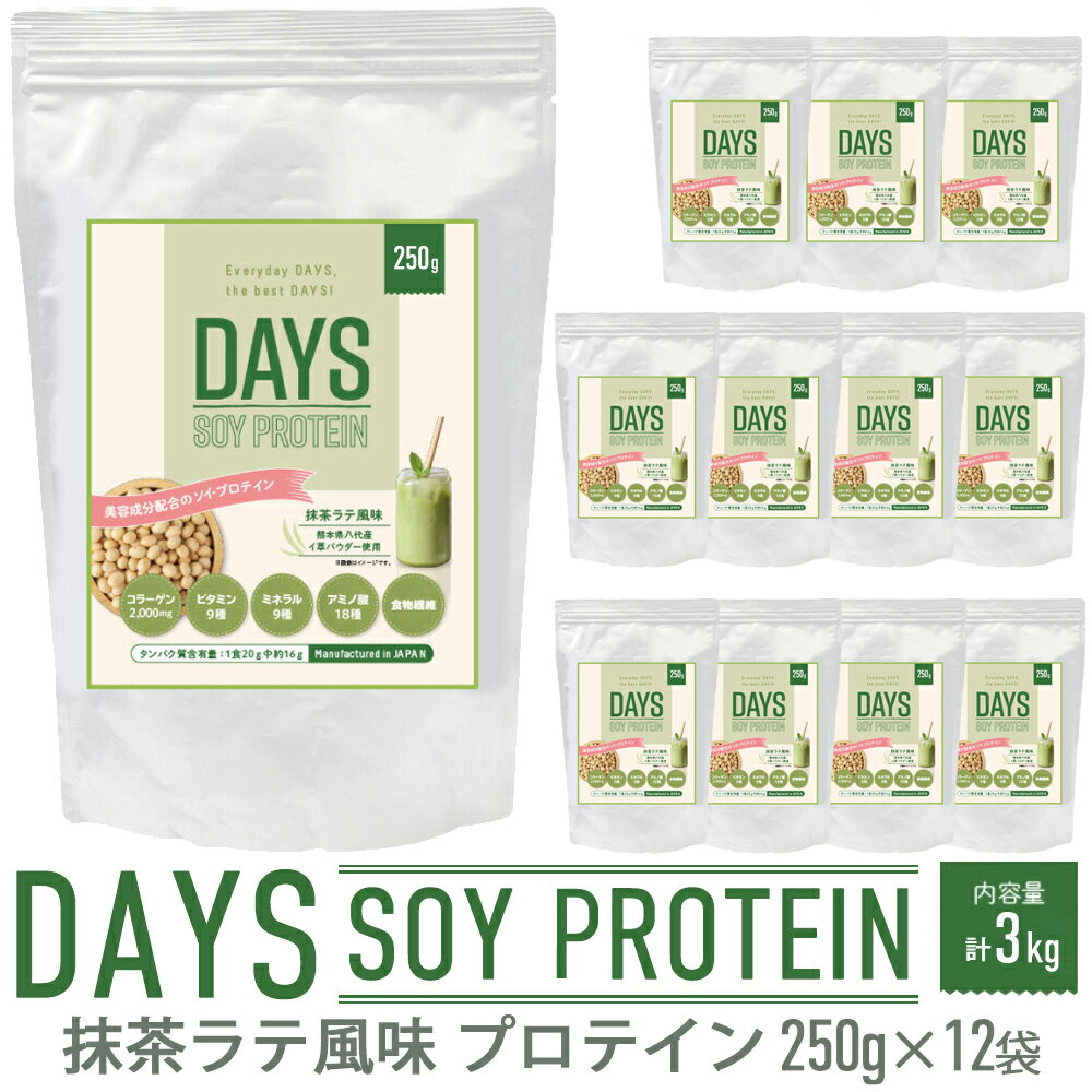 【ふるさと納税】DAYS SOY PROTEIN 抹茶ラテ風味 250g×12袋 合計3kg ソイプロテイン い草 大豆たんぱく..