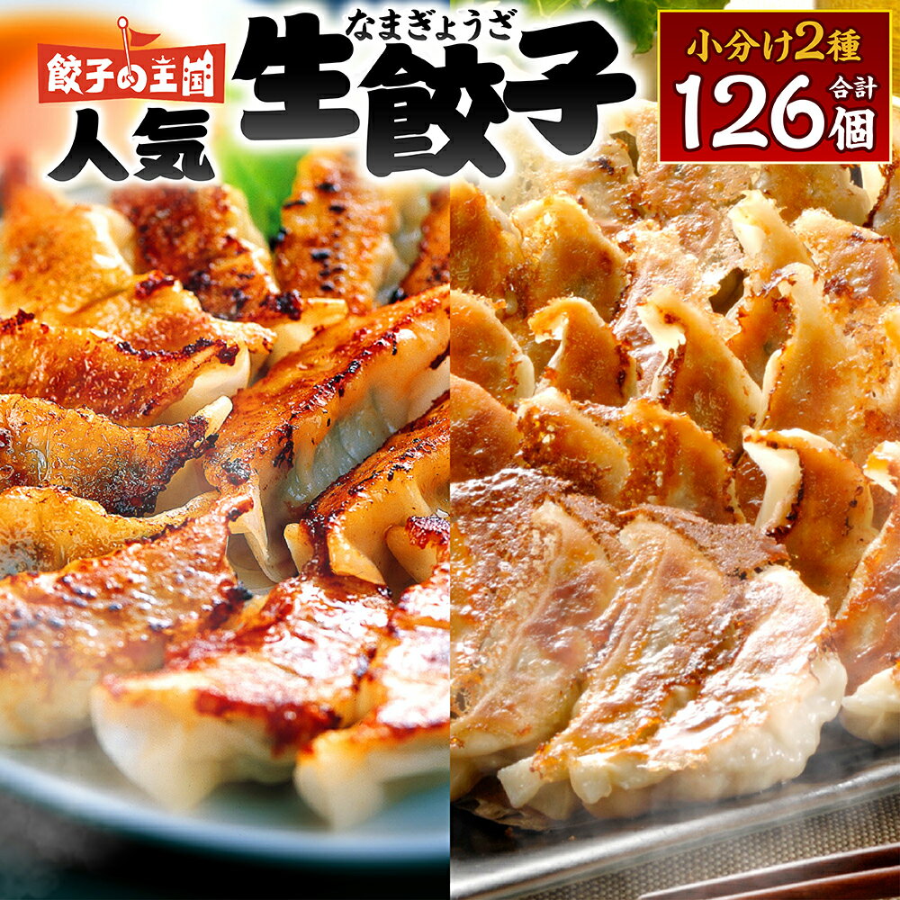 【ふるさと納税】 餃子の王国 人気 