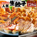 【ふるさと納税】 餃子の王国 人気 