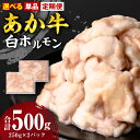 【ふるさと納税】 【選べる定期便・単品】 あか牛 白ホルモン 合計500g 250g×2パック ホルモン もつ 小分け 冷凍 熊本県産 九州産 国産 送料無料 1