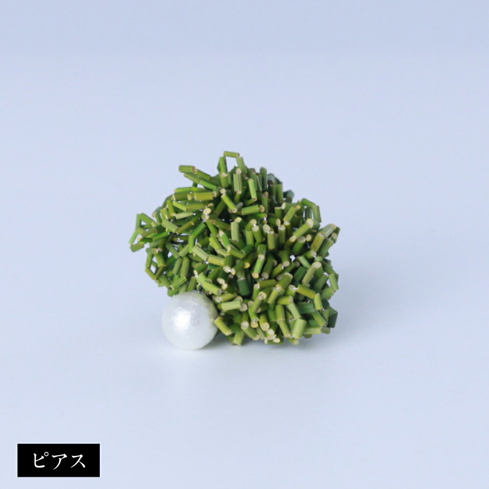 【ふるさと納税】イグサ アクセサリー グリーン（ピアス/イヤリング） 片耳 1個 直径30mm～40mm イ草 コットンパール 染色 藺草 天然素材 緑色 おしゃれ ファッション 小物 熊本県産 九州 送料無料