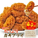 【ふるさと納税】【訳あり】たっぷり40個！ サクサク カキフライ 合計1kg 25g×40個 小粒サイズ 衣付き 牡蠣フライ かきフライ 牡蠣 貝 ..