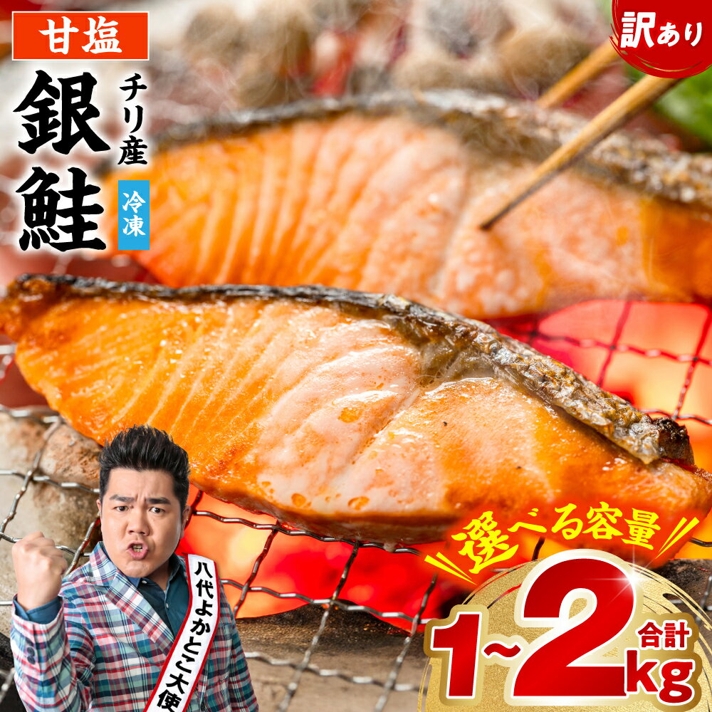 【ふるさと納税】 【訳あり】 銀鮭 切り身 1kg~2kg 【選べる内容量】 鮭 塩鮭 サケ 甘塩 切身 切り身 大容量 人気の鮭 カマ 希少 魚 サーモン シャケ お弁当 冷凍 送料無料
