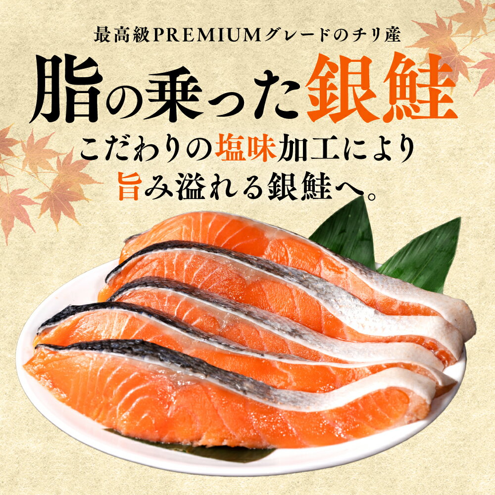 熊本県八代市の画像3