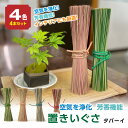 【ふるさと納税】置きいぐさ(タバーイ)4本セット(赤、青、緑、ピンク) い草 いぐさ タバーイ インテリア 送料無料