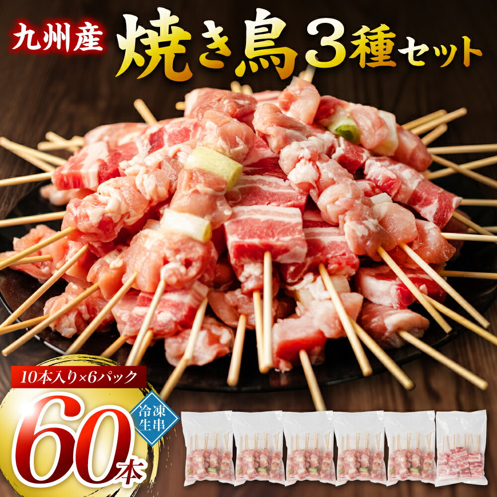 【ふるさと納税】たっぷり60本！ 九州産 やきとりセット 3