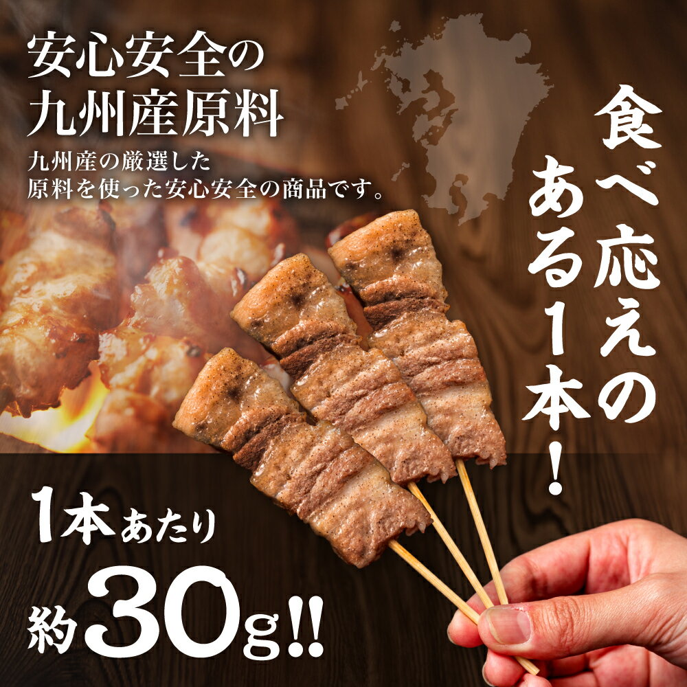 【ふるさと納税】たっぷり50本！ 九州産 豚バラ串 50本 合計1.5kg（30g×50本） 豚バラ 串 豚肉 お肉 バーベキュー BBQ 惣菜 小分け ボリューム 国産 簡単 調理 おつまみ セット 詰合せ 冷凍 送料無料