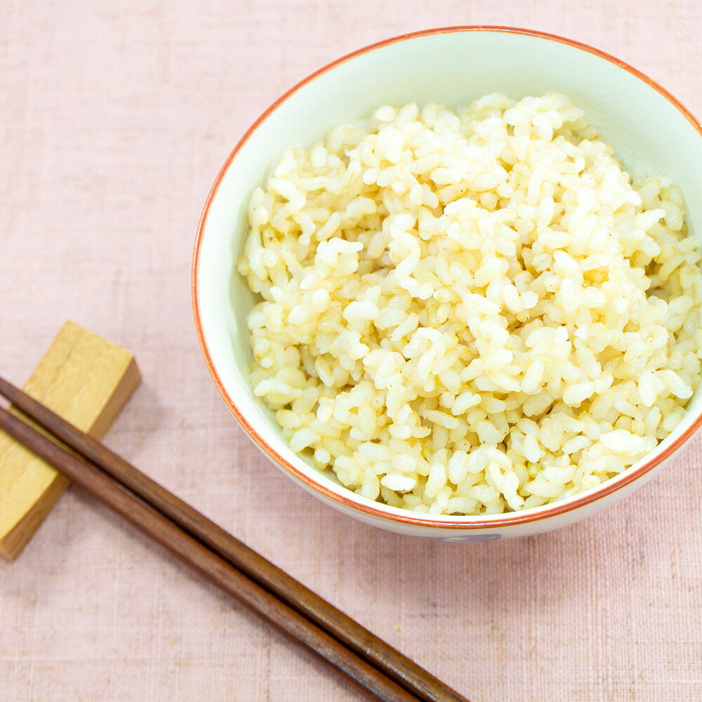 【ふるさと納税】令和3年産 玄米 10kg 自然栽培米 お米 無農薬 無肥料 自然栽培 球磨川 川辺川 国内産 熊本県産 八代市 送料無料