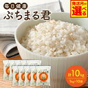 【ふるさと納税】 【選べる発送月】 熊本県産 大麦100% ぷちまる君 1kg×10袋 合計10kg 精麦 国産 大麦 食品 低カロリー 雑穀 穀物 麦ごはん 食物繊維 大麦ダイエット 大麦コレステロール低下 ご飯 送料無料