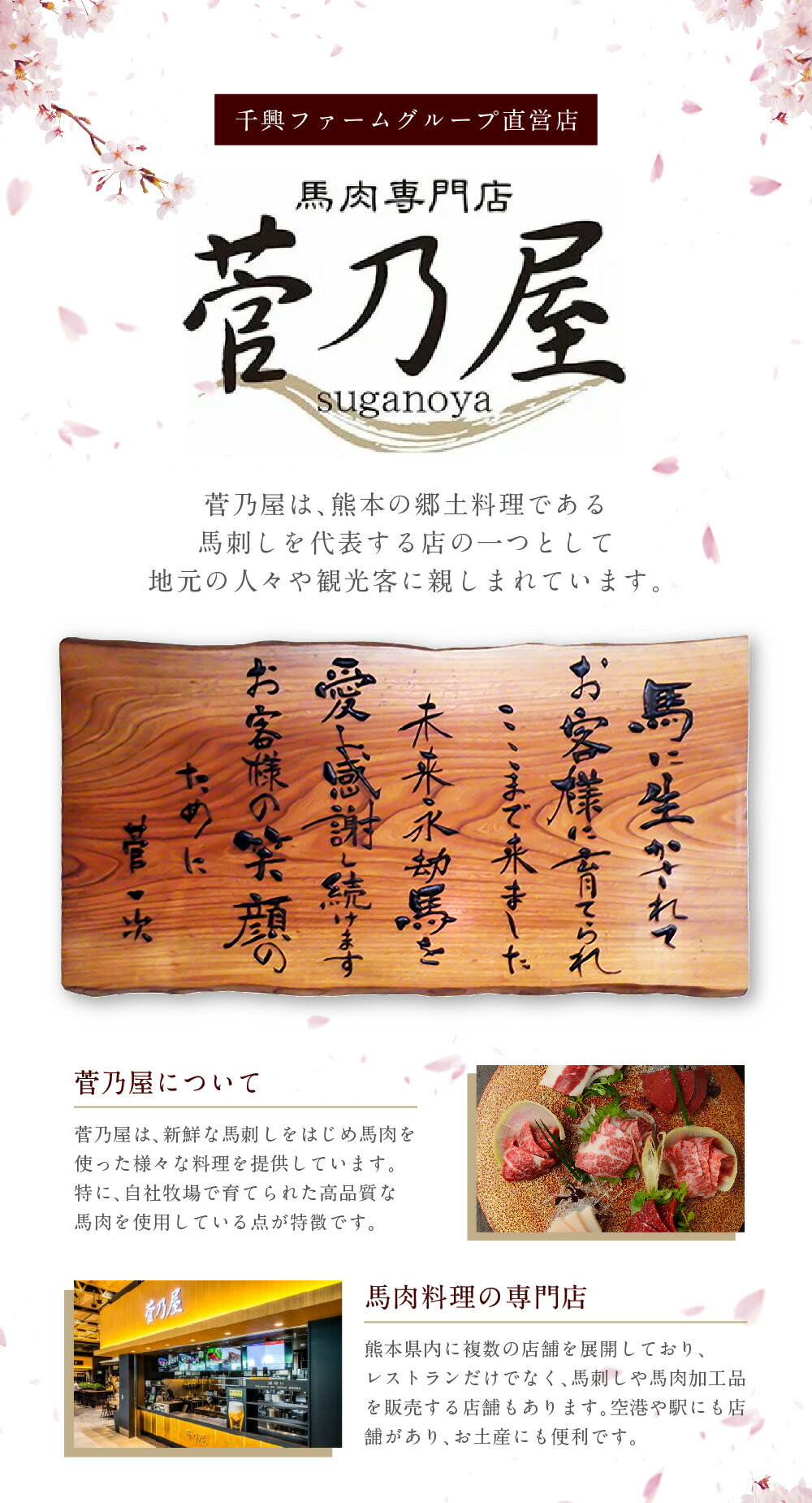熊本県八代市の画像3