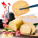 【ふるさと納税】からし蓮根 丸大 2本入り 合計500g 250g×2本 おつまみ 惣菜 九州 冷蔵 熊本名物 辛子 れんこん 蓮根 レンコン 熊本県 八代市 ...