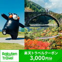 【ふるさと納税】熊本県八代市の対象施設で使える楽天トラベルクーポン 寄付額10,000円