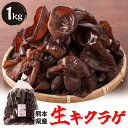 【ふるさと納税】熊本県産 生キクラゲ 1kg きくらげ プリプリトッピング 国産 熊本県 九州 送料無料