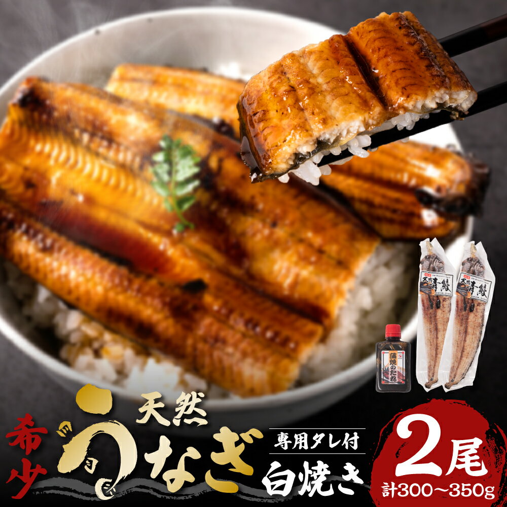 白焼き 【ふるさと納税】熊本県八代市産 天然うなぎ白焼き(中) 2本 (計300～350g) 蒲焼のたれ付き 鰻 国産 蒲焼 ウナギ うなぎ 冷凍 ギフト 送料無料