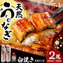 【ふるさと納税】熊本県八代市産 天然うなぎ白焼き(中) 2本 (計300〜350g) 蒲焼のたれ付き 鰻 国産 蒲焼 ウナギ うなぎ 冷凍 ギフト 送料無料