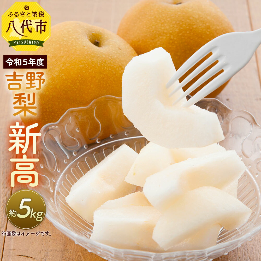 【ふるさと納税】【先行予約】令和5年度 吉野梨 新高 約5kg 梨 果物 フルーツ 冷蔵 旬 九州 熊本県産 送料無料【2023年9月下旬発送開始】のサムネイル