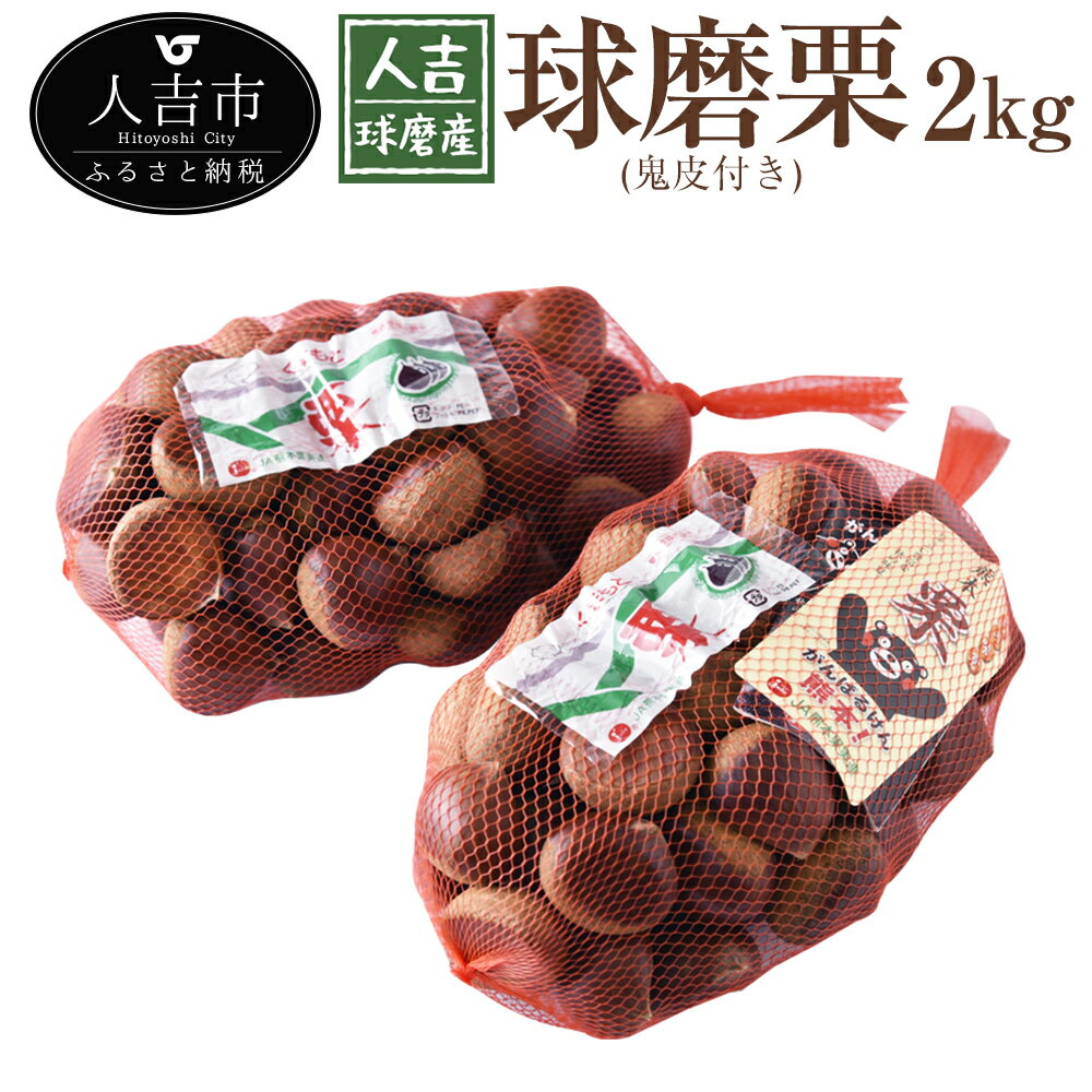 人吉球磨産 球磨栗 鬼皮付き 2kg 数量限定 品種おまかせ ランダム くり 果物 フルーツ 冷蔵 熊本県産 国産 送料無料[2024年9月下旬より順次発送予定]