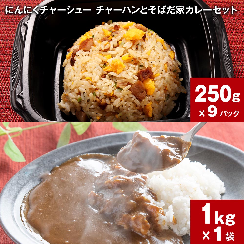【ふるさと納税】にんにくチャーシューチャーハンとそばだ家カレーセット 250g×9パック 1kg×1袋 炒飯 チャーシュー 豚肉 ニンニク うるち米 ご飯 カレー 惣菜 おかず 夕飯 レンジ 詰め合わせ お取り寄せ グルメ ギフト 熊本県 人吉市 送料無料のサムネイル