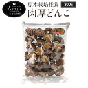 56位! 口コミ数「1件」評価「5」原木栽培椎茸 肉厚どんこ 300g 椎茸 しいたけ 干し椎茸 干ししいたけ 乾椎茸 熊本県人吉産 九州 4〜5cmの肉厚 送料無料